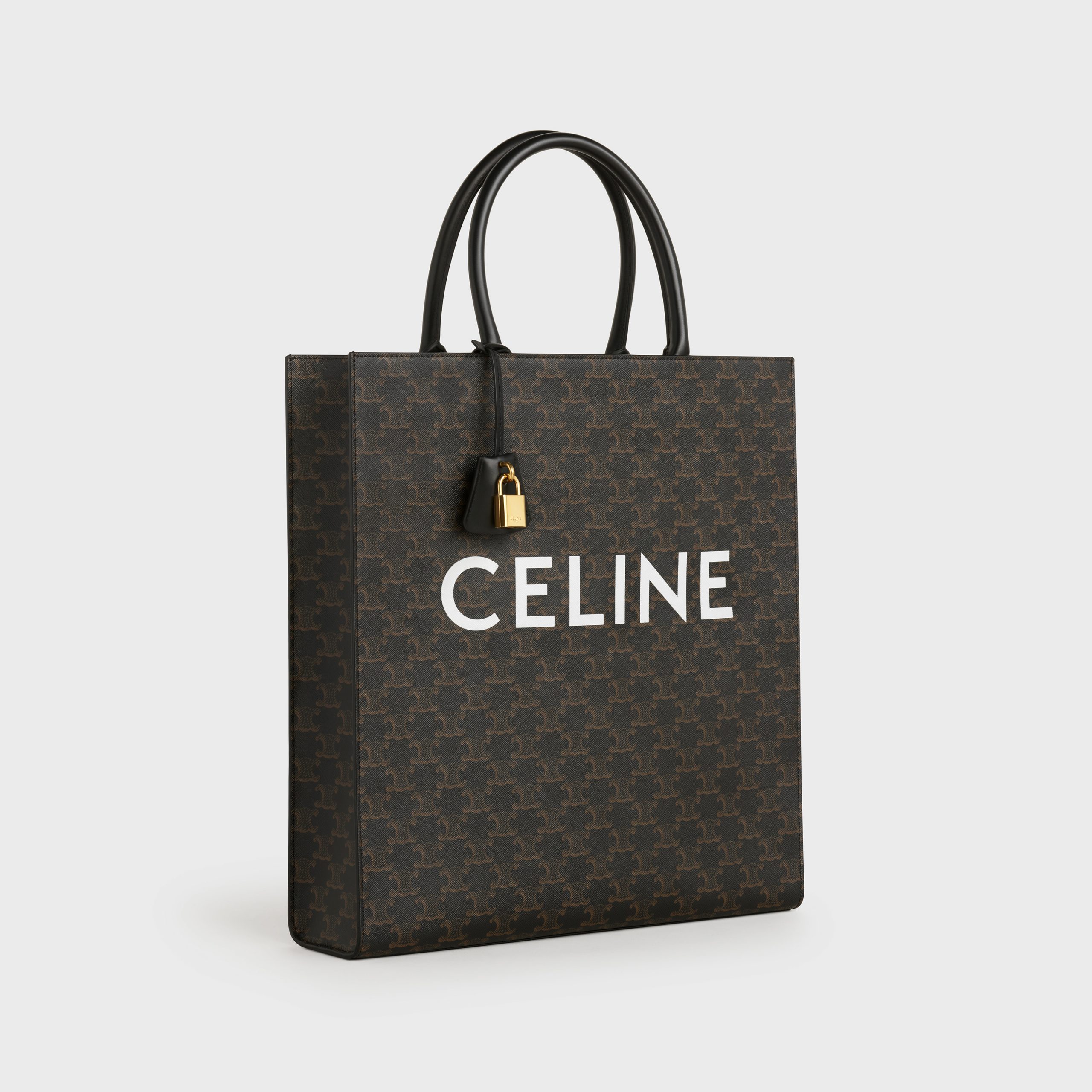 Celine CABAS VERTICAL In Triomphe Canvas With Celine Print – Black – 191492CIM.38NO